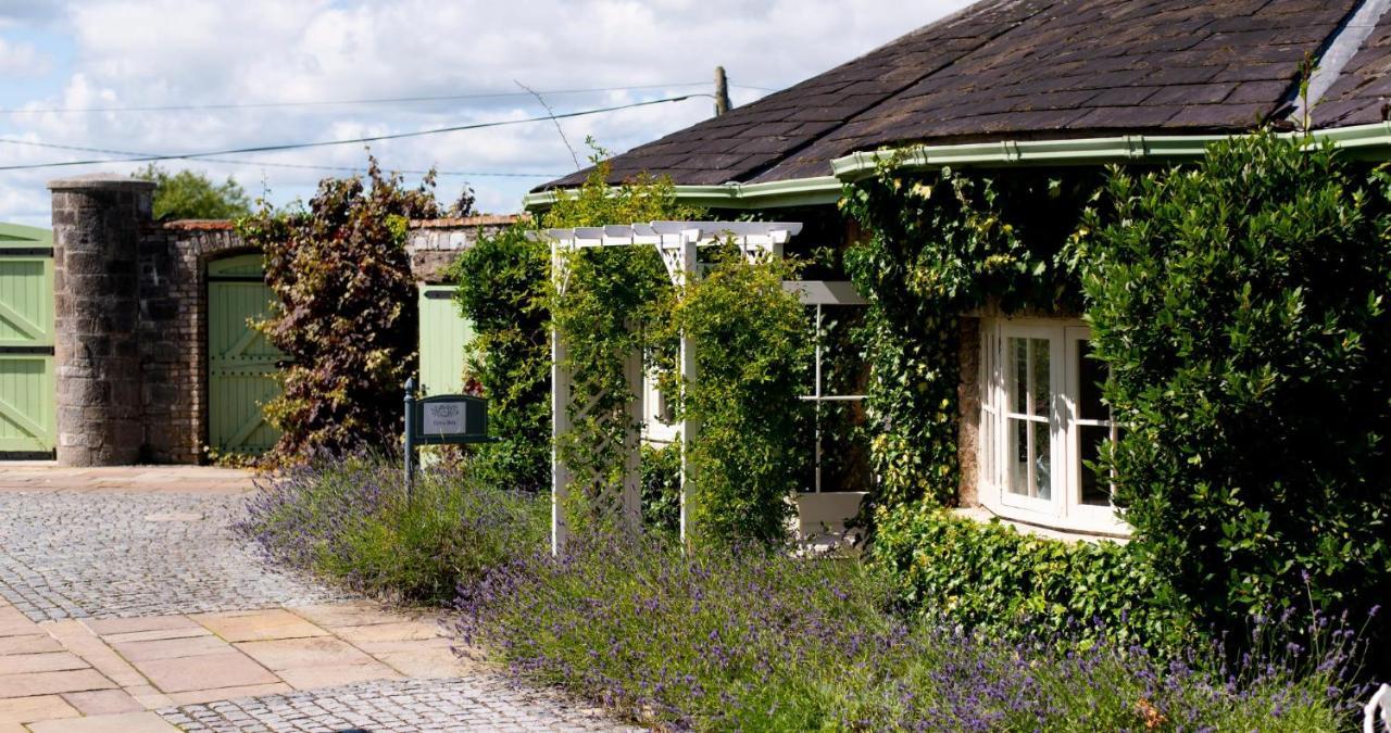 Cliff At Lyons Hotel Celbridge Bagian luar foto